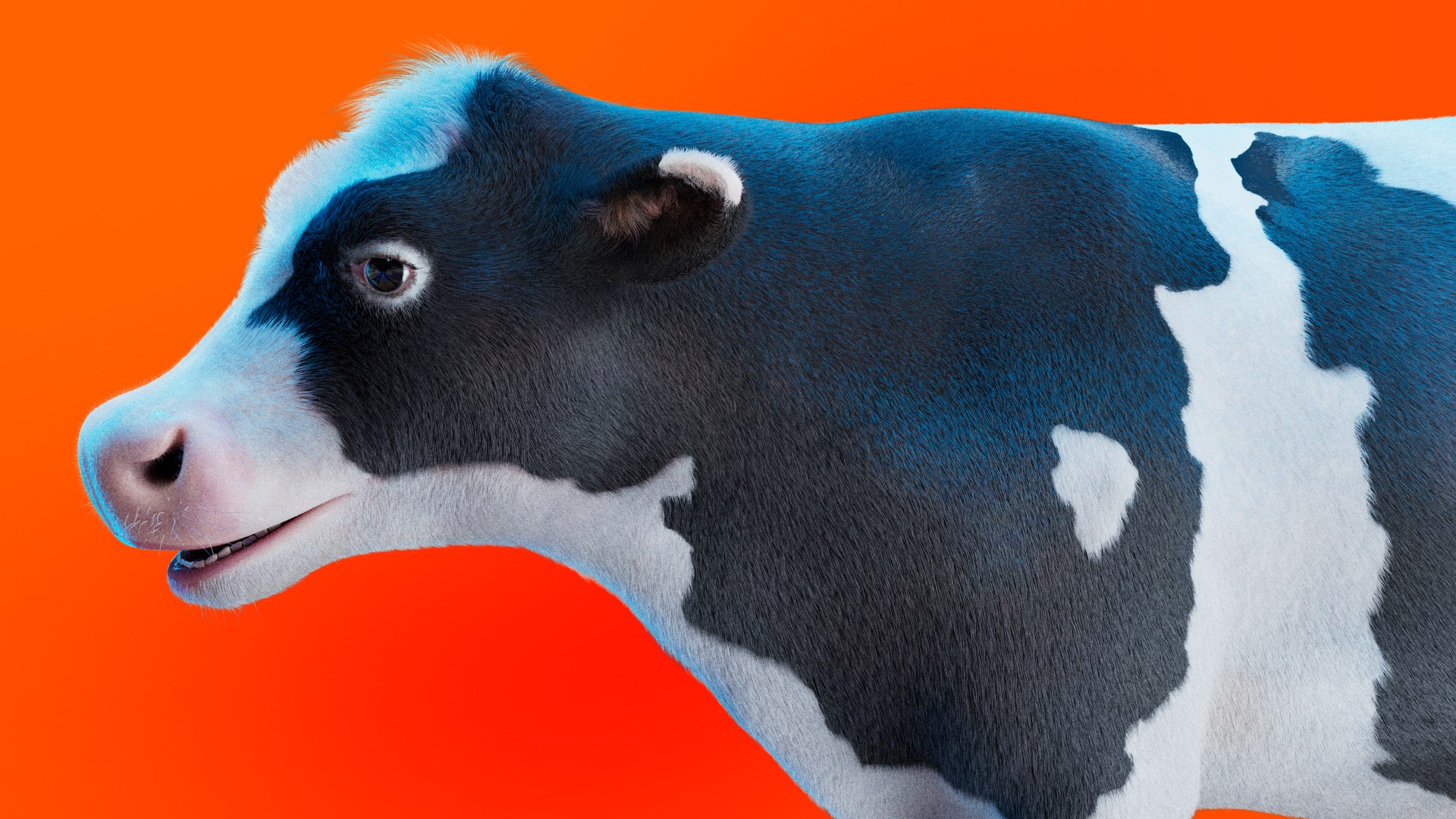 Cow Rigged Fur 3D model 3D model https://p.turbosquid.com/ts-thumb/iU/Wsuadj/GG/cow_xgen.0009/jpg/1681655441/1920x1080/fit_q87/f62ed3b7a158c4658f4ae6e1465a3005d36bfdab/cow_xgen.0009.jpg