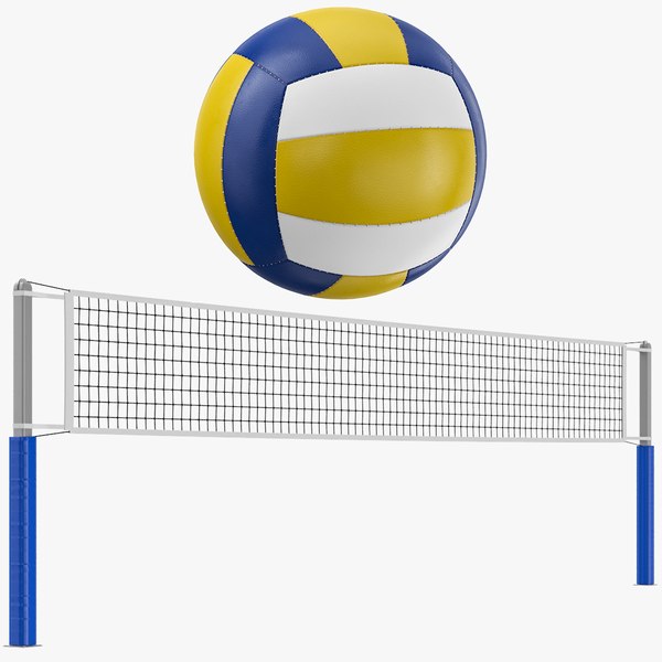 3D model Volleyball Balls And Net Collection