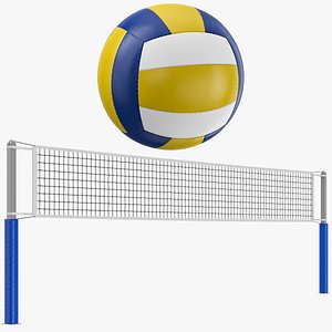 Volleyball Balls And Net Collection