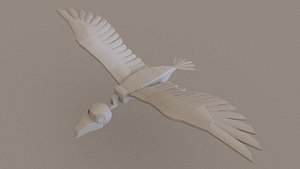 3D vulture lowpololy model