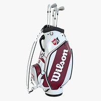 Wilson Golf Bag White