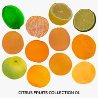 Citrus Fruits Collection 01 - 12 models RAW Scans
