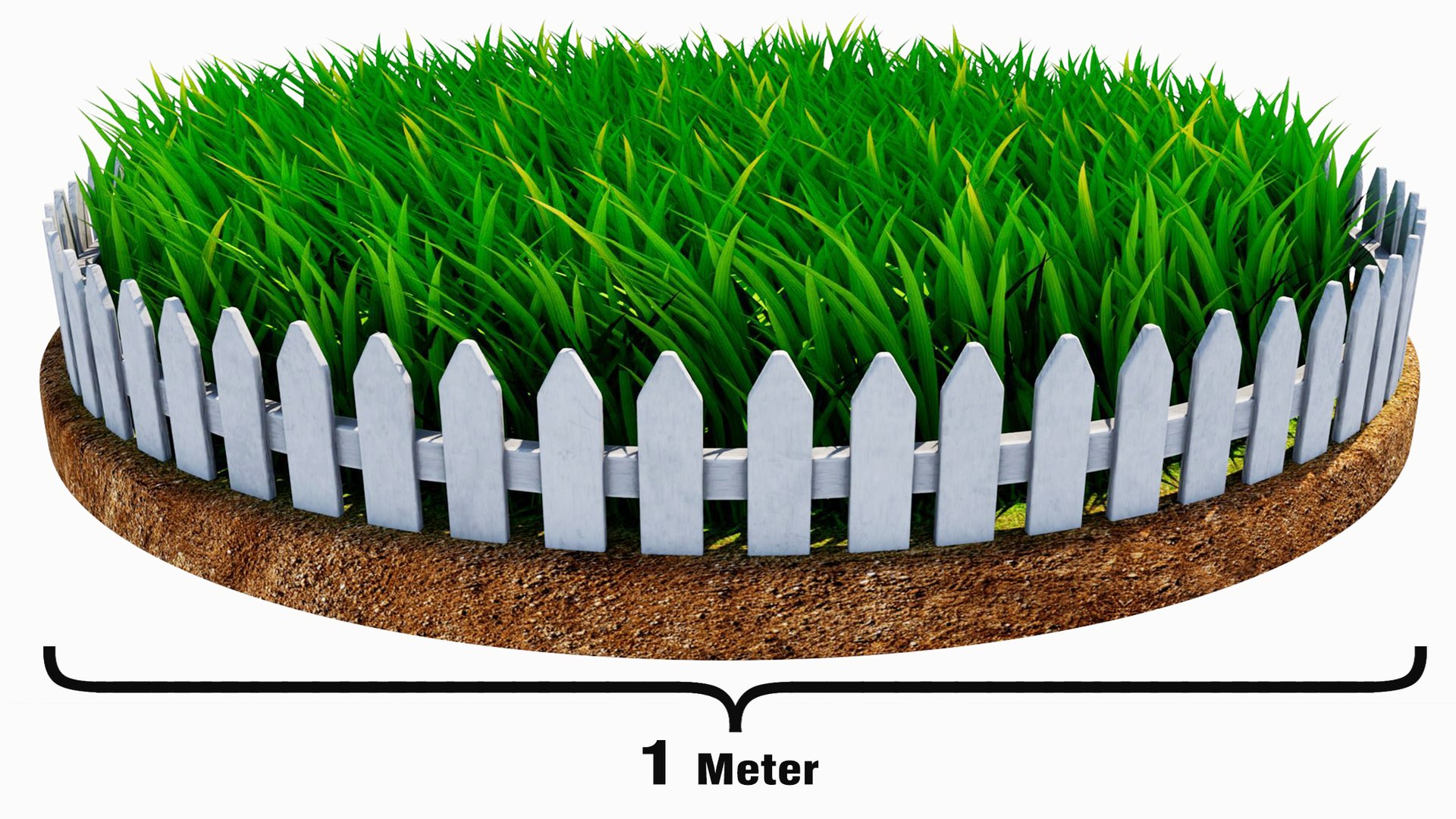 Grass 3D https://p.turbosquid.com/ts-thumb/iV/4wOLWh/H1/grass_01/jpg/1785024636/1920x1080/fit_q87/c512bdc54550643a4a108f6e74ca82a213dff70e/grass_01.jpg