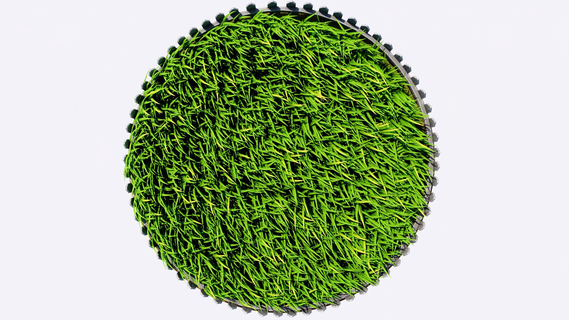 Grass 3D https://p.turbosquid.com/ts-thumb/iV/4wOLWh/X4/grass_03/jpg/1785024637/1920x1080/fit_q87/393efdf165a0df7ef2b901abcf7eed389b48b266/grass_03.jpg