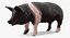 Animali da fattoria Grande collezione 5