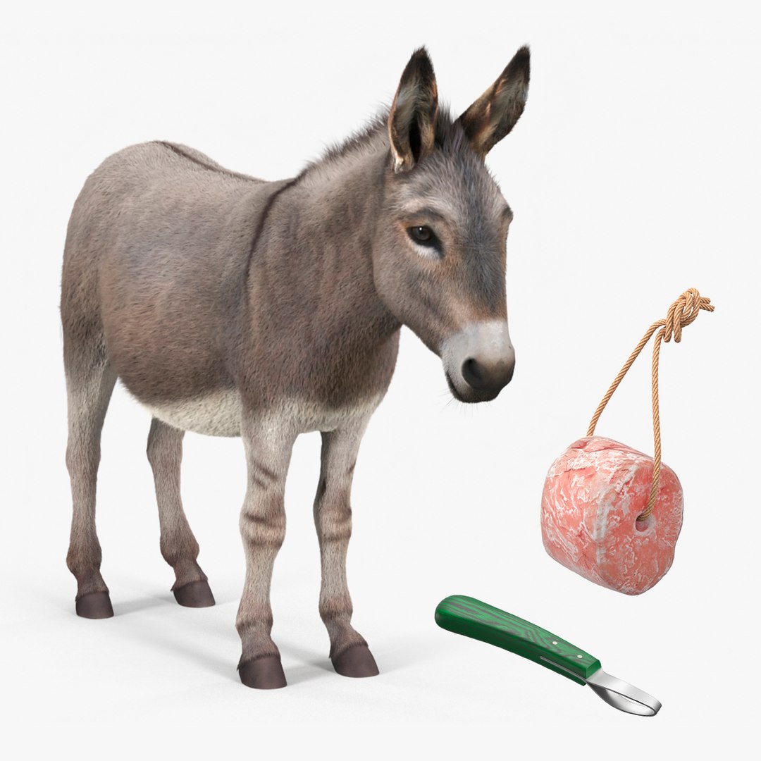 Domestic Donkey with Livestock Care Equipment Collection 3D model preview