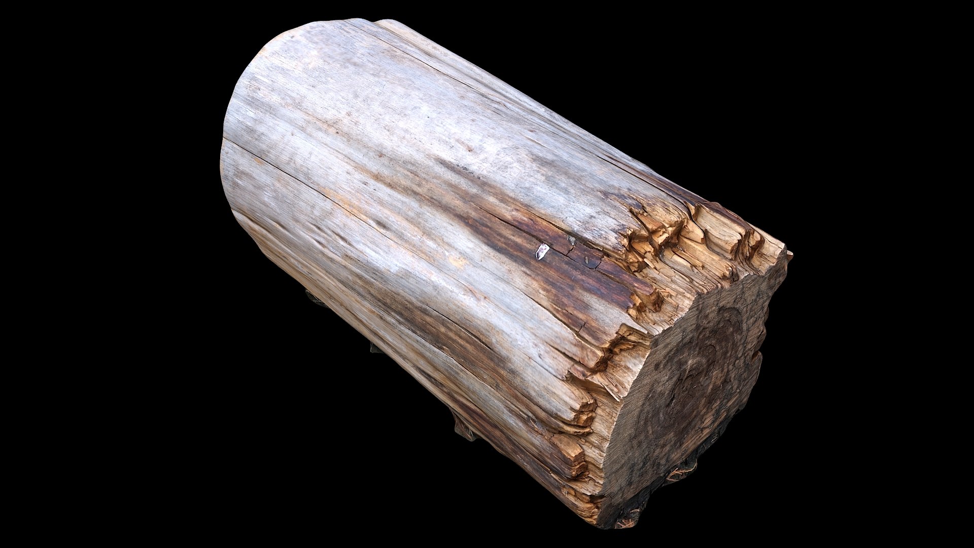 3D Tree Stump Collection 08 https://p.turbosquid.com/ts-thumb/iV/D2uHX0/j9/treestump23_02/jpg/1613983545/1920x1080/fit_q87/ed281700d75f1e614b50f1502530e628924189ff/treestump23_02.jpg