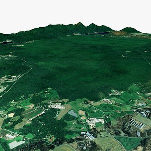 Aokigahara Forest Yamanashi Prefecture Japan 3D