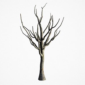 Old Tree 02