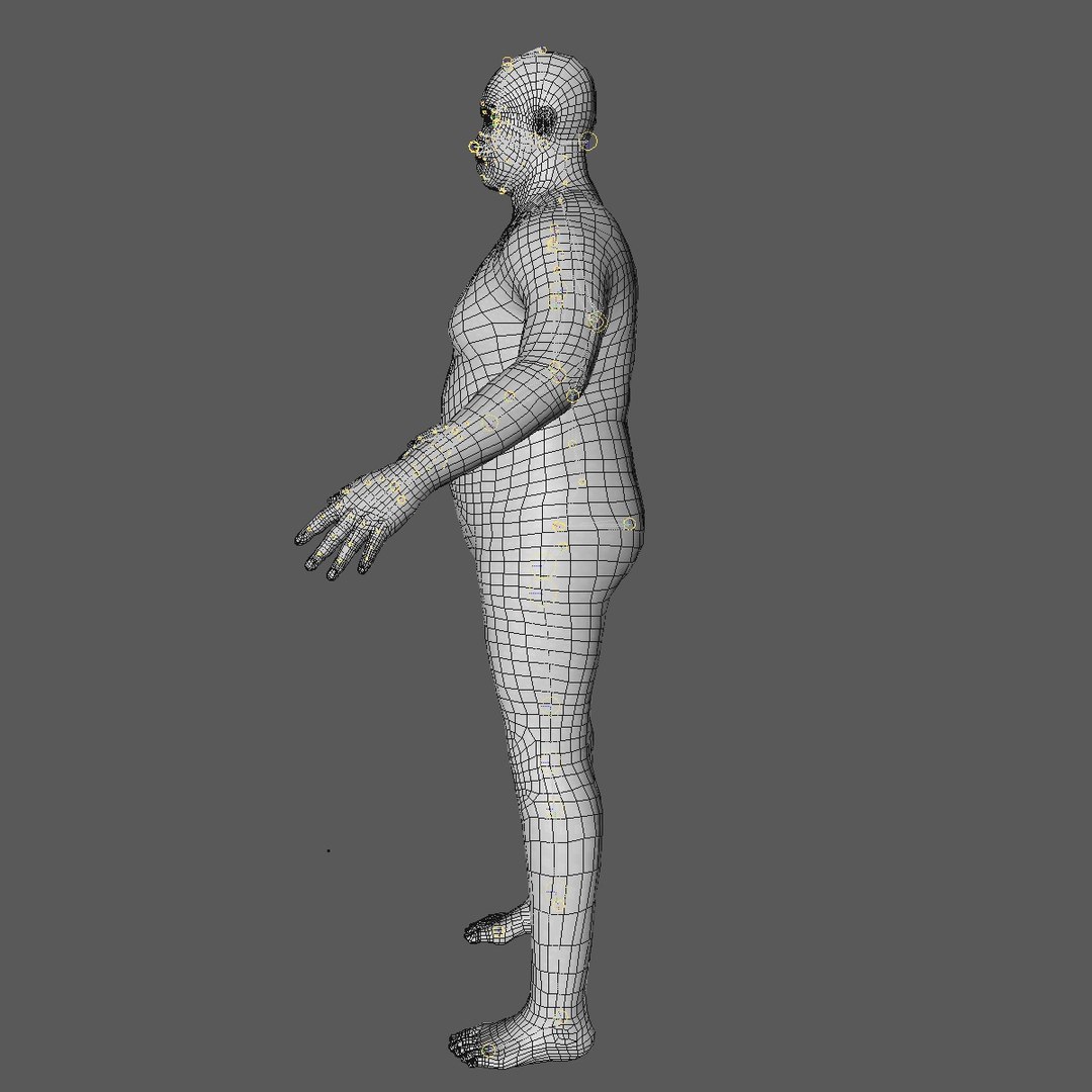 3d Model Of Realistic Base Mesh 45