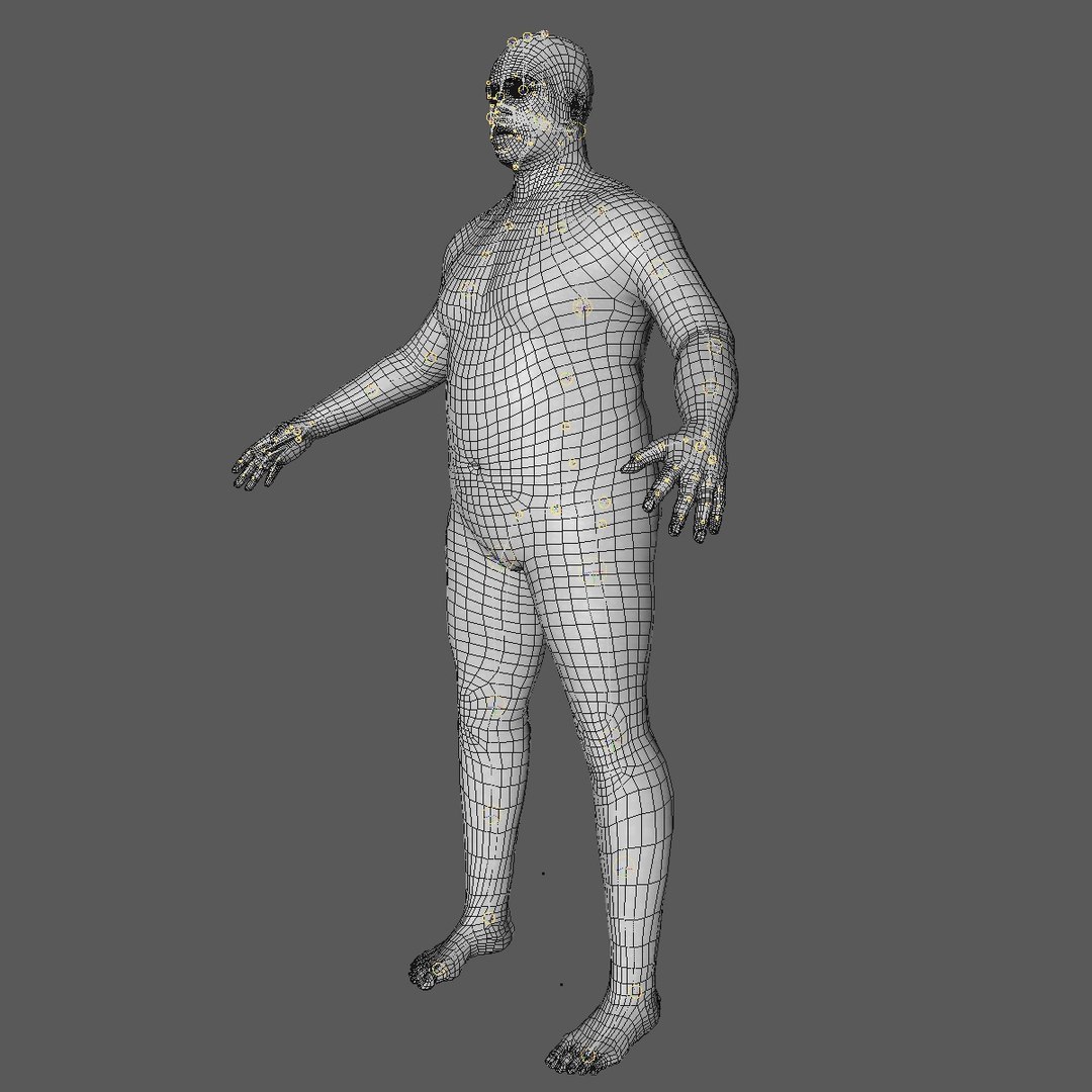 3d Model Of Realistic Base Mesh 45