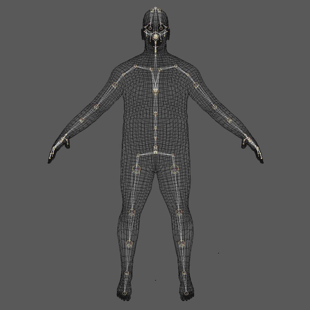3d Model Of Realistic Base Mesh 45