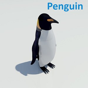 antartica penguin animal 3d model