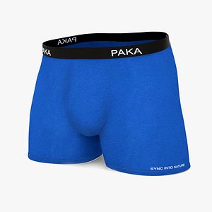 3D Underwear 3d model