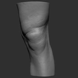 knee realistic 3d obj