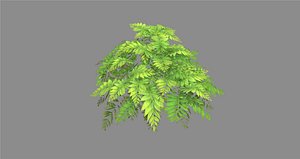 3D Cartoon grass bushes model