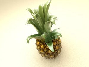3ds max photo-realistic pineapple