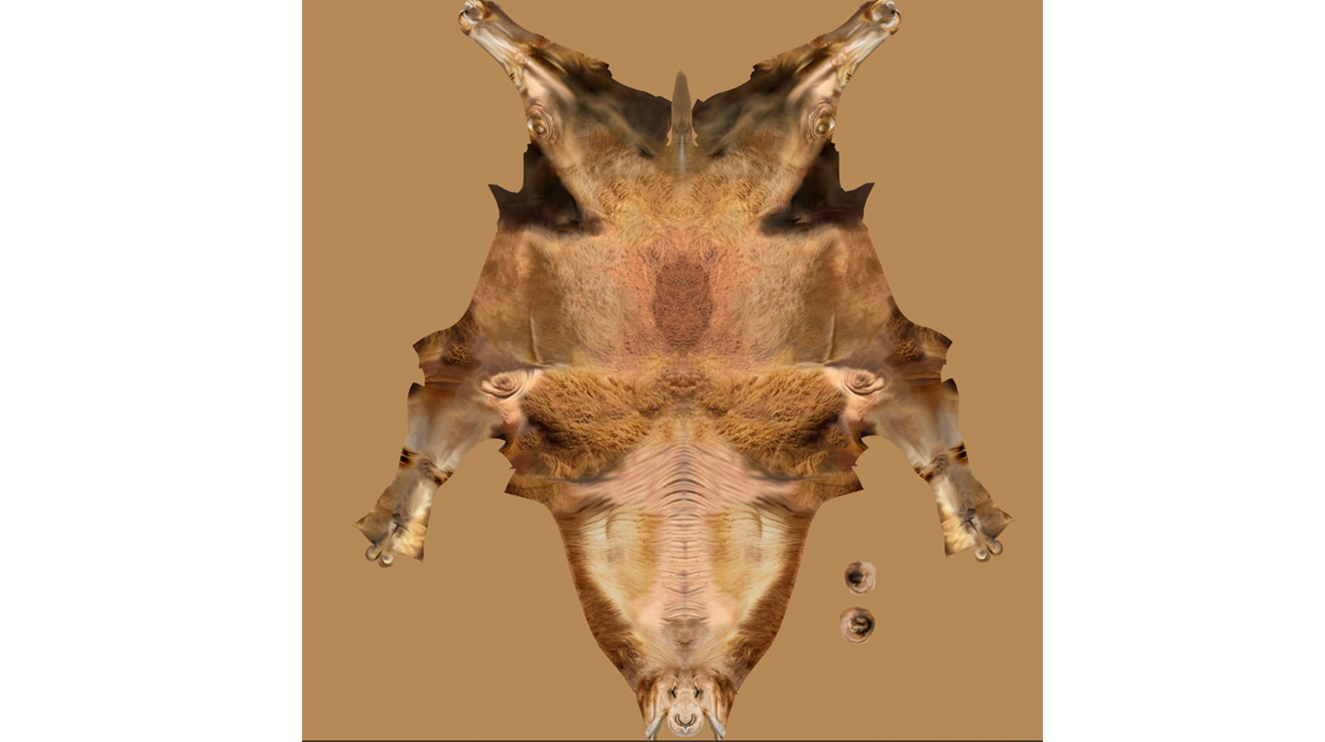 High-Quality 3D Camel Model model https://p.turbosquid.com/ts-thumb/iW/FE1Vmc/LP/10/png/1743132100/1920x1080/fit_q87/46c0160174076acbf8cf38e5015189b72cd9ba09/10.jpg