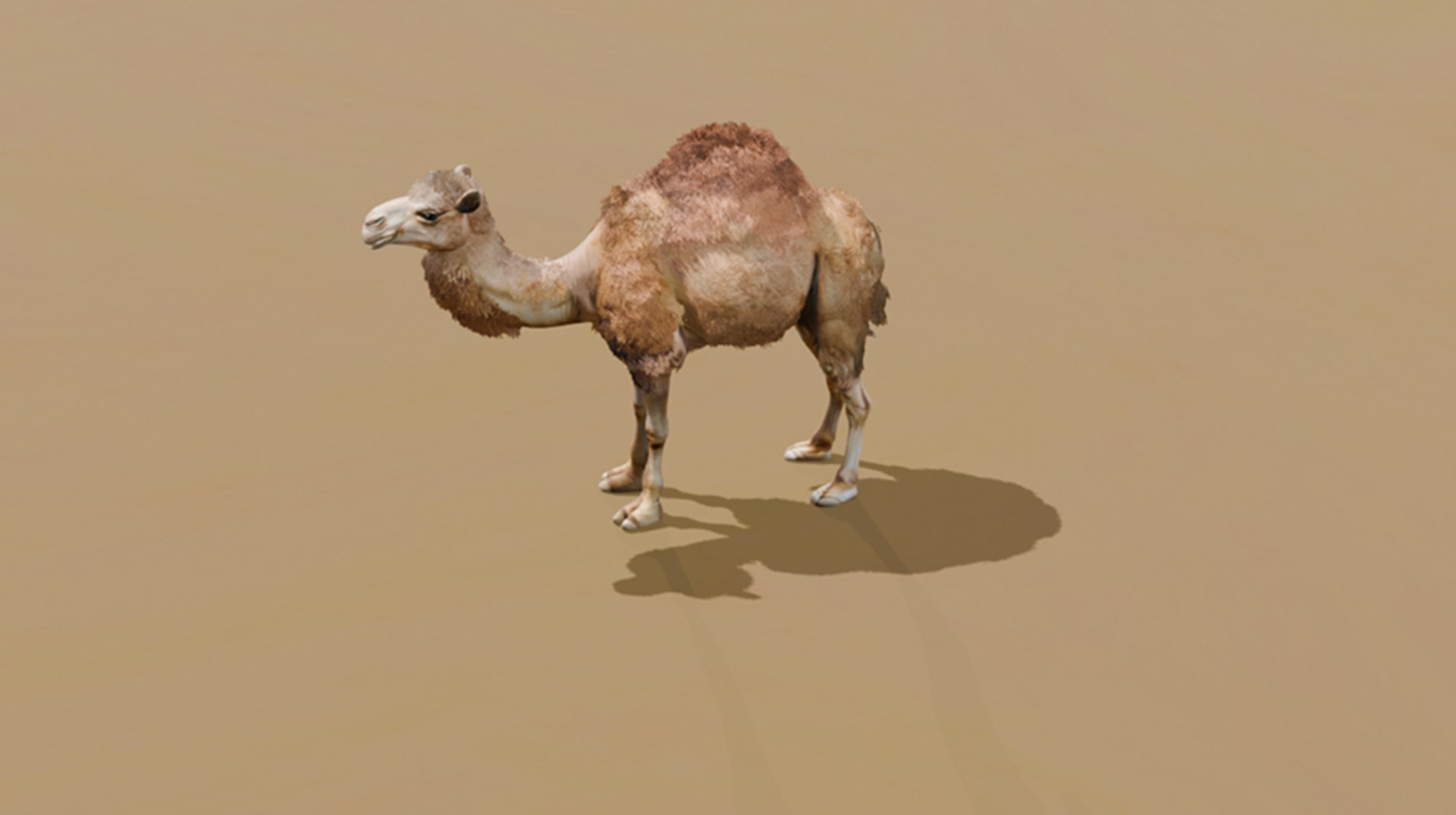 High-Quality 3D Camel Model model https://p.turbosquid.com/ts-thumb/iW/FE1Vmc/qt/12/png/1743132103/1920x1080/fit_q87/4f4a30cb33fd2f3082629def290cf39aadfb84a7/12.jpg