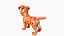 Cartoon Dog