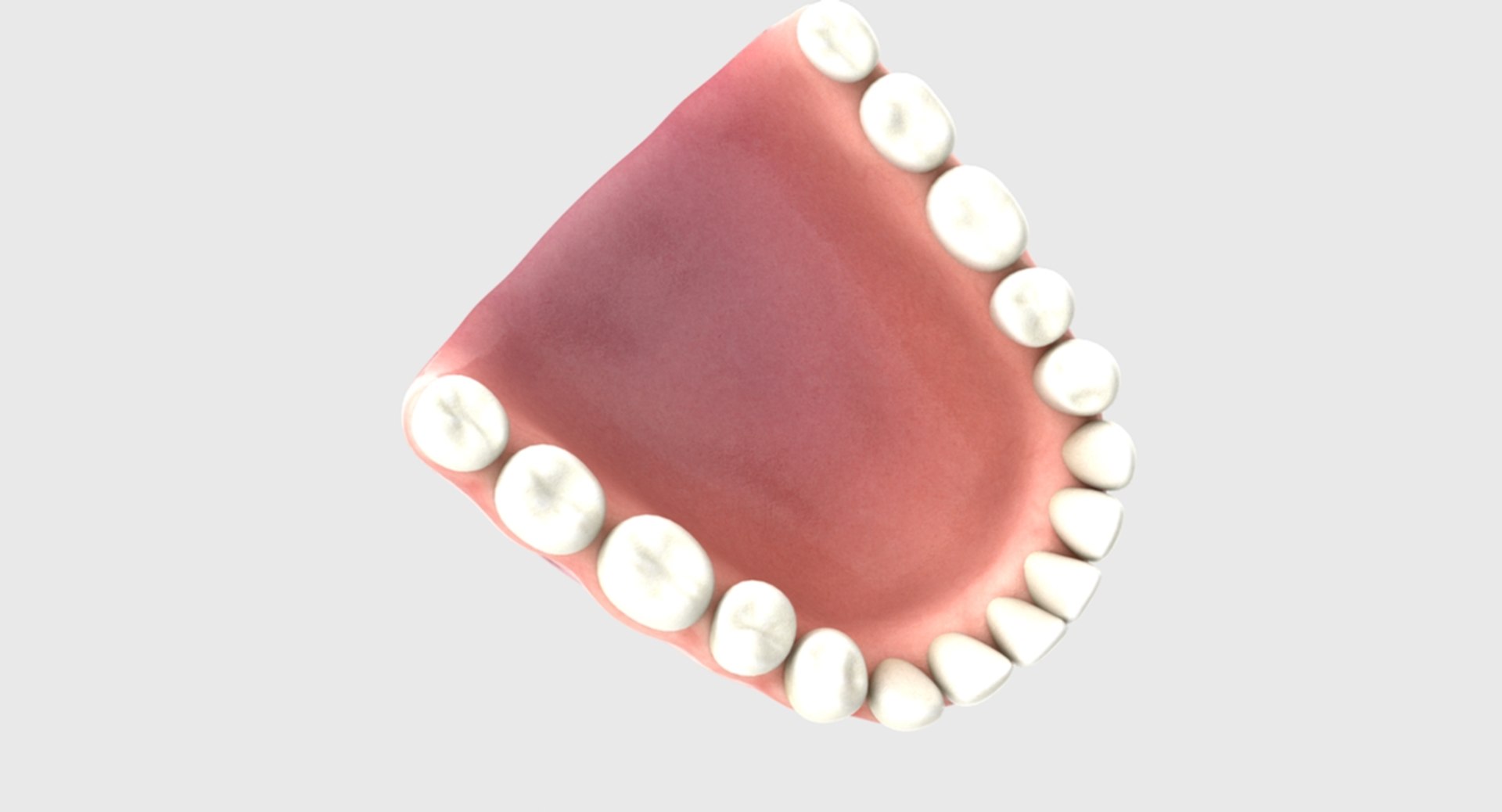 3D rigged human mouth teeth model https://p.turbosquid.com/ts-thumb/iW/RBAyll/1n3cbaMZ/9/jpg/1541869658/1920x1080/fit_q87/73caa54881227dea503af9874b56034ce159a193/9.jpg