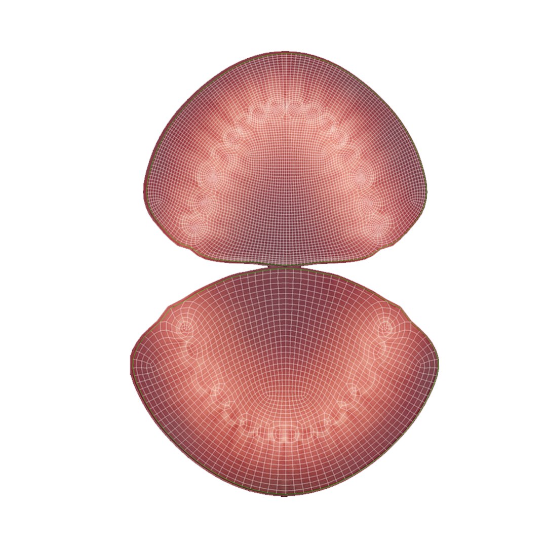 3D rigged human mouth teeth model https://p.turbosquid.com/ts-thumb/iW/RBAyll/Iwp1lneF/uvtexture/png/1544631294/1920x1080/fit_q87/e65de97cada74e8b7ff824609d9bf7c3e0cf6989/uvtexture.jpg