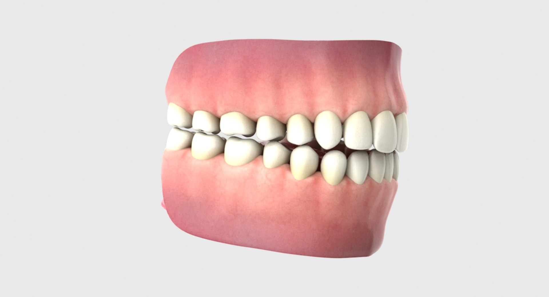 3D rigged human mouth teeth model https://p.turbosquid.com/ts-thumb/iW/RBAyll/MvfMRyyP/13/jpg/1541872289/1920x1080/fit_q87/50d8b8e80f0bdc646d8cb9500f4672570190f4a4/13.jpg