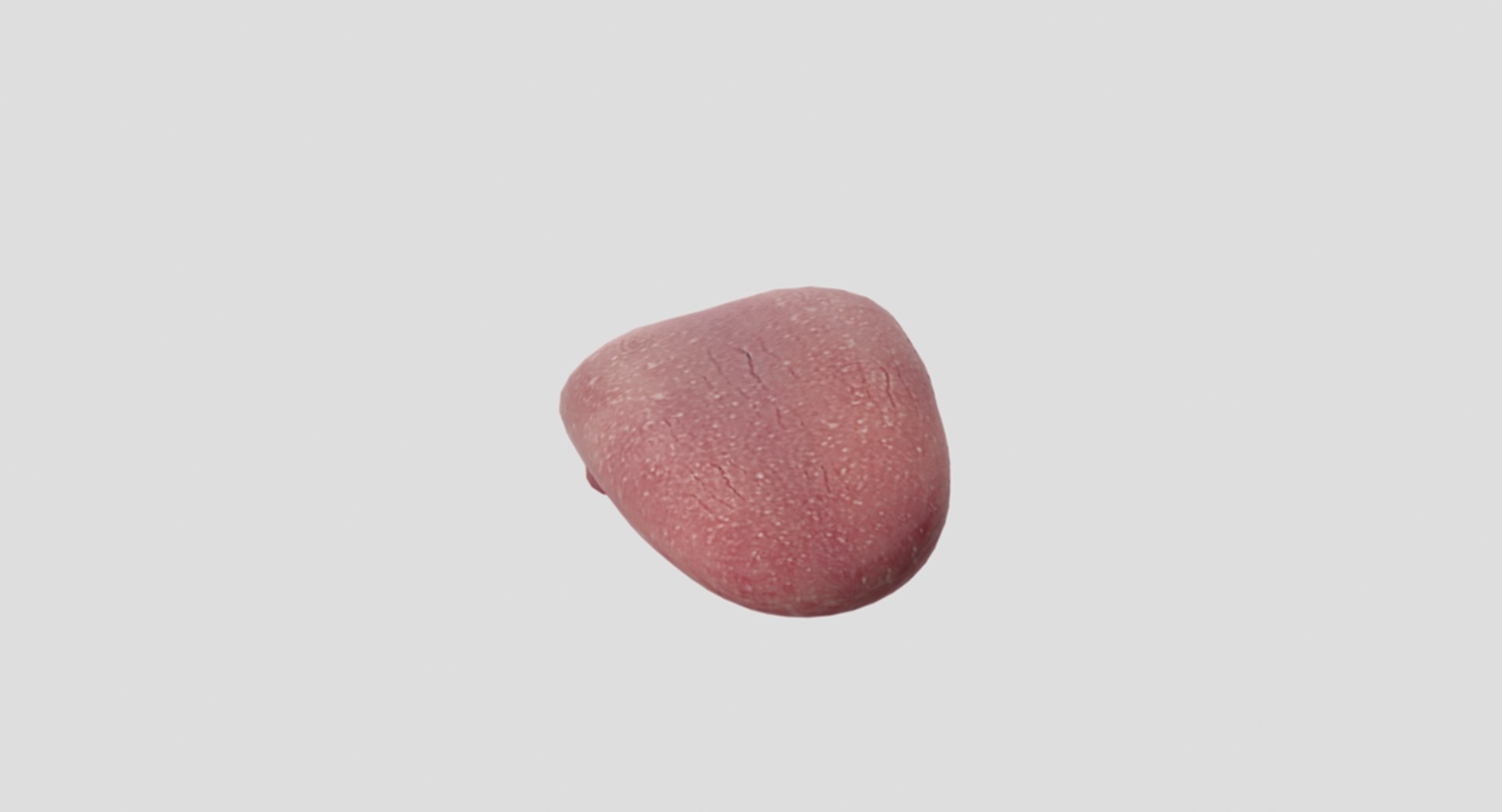3D rigged human mouth teeth model https://p.turbosquid.com/ts-thumb/iW/RBAyll/eXM1xlQu/3/jpg/1541869583/1920x1080/fit_q87/2bfa82f510b2428147e0411e45a9d0ba02856e07/3.jpg