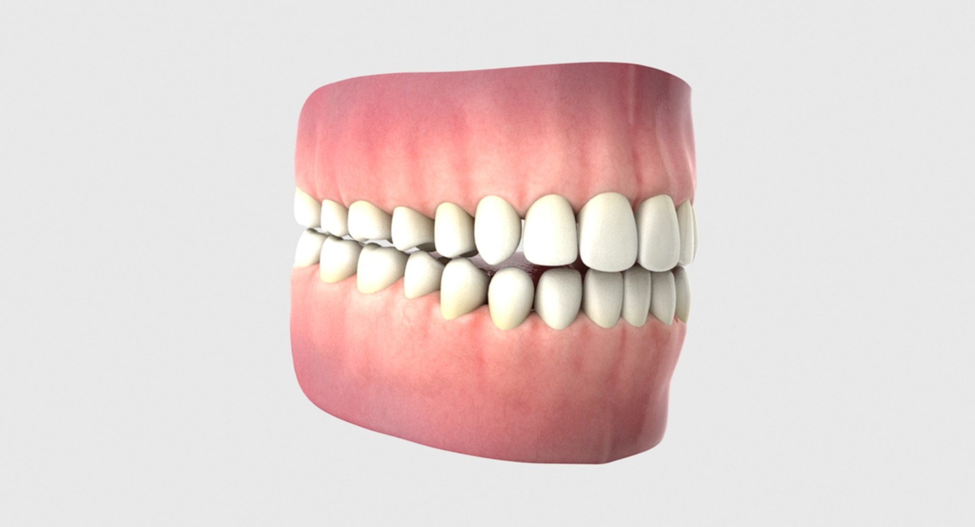 3D rigged human mouth teeth model https://p.turbosquid.com/ts-thumb/iW/RBAyll/ewgvlNxv/12/jpg/1541872281/1920x1080/fit_q87/16bb8b1ba030e6f9b55dc4fa60a3fcb6c6c18682/12.jpg