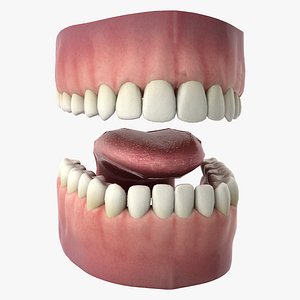 Mouth