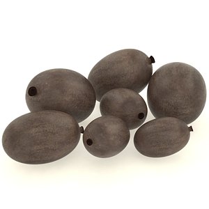 seeds brown model