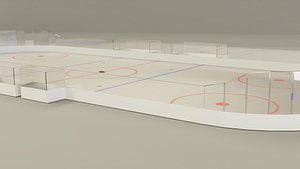 Hockey Rink 3D