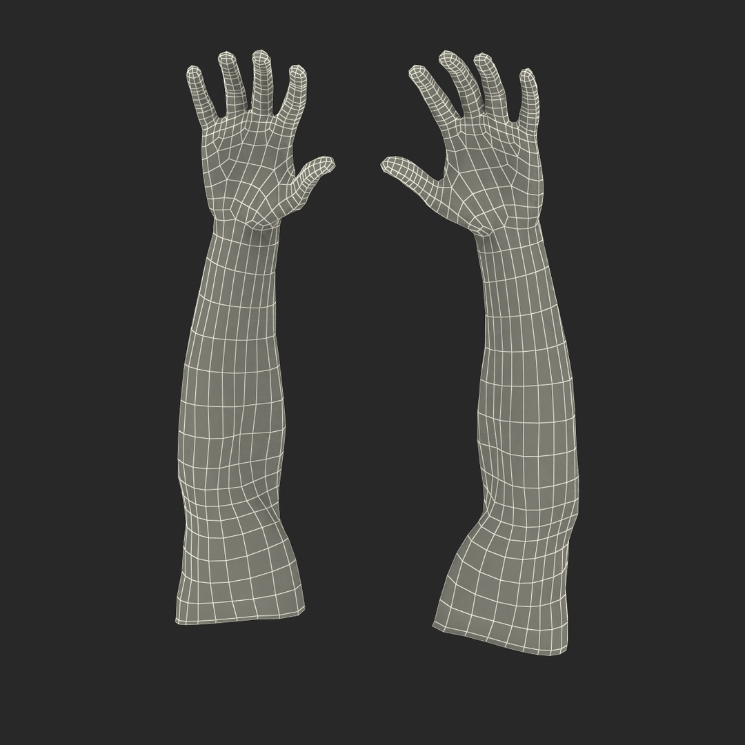 Biker Hands 3ds