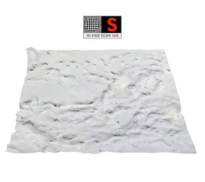 Snow ground forest scan