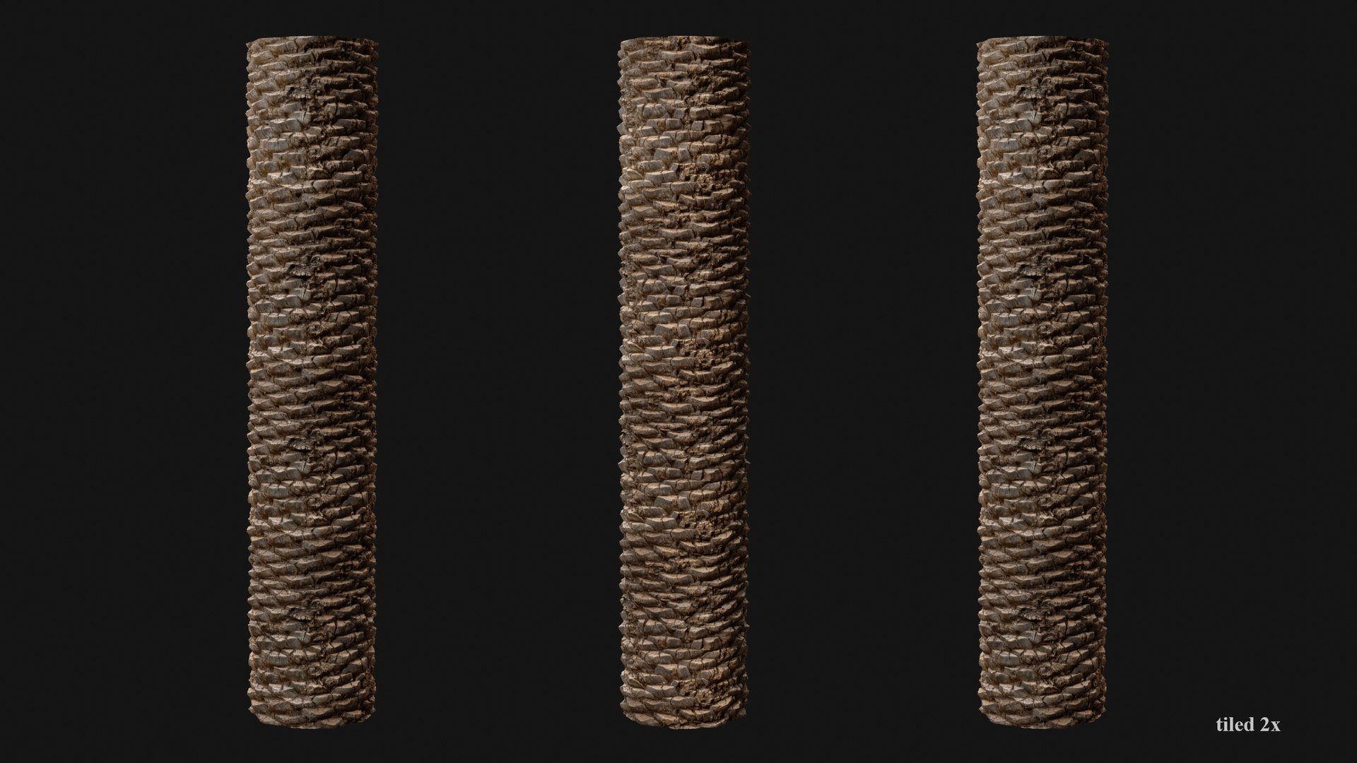 Date Palm PBR Tiled Texture 8K 3D Model - TurboSquid 2313256