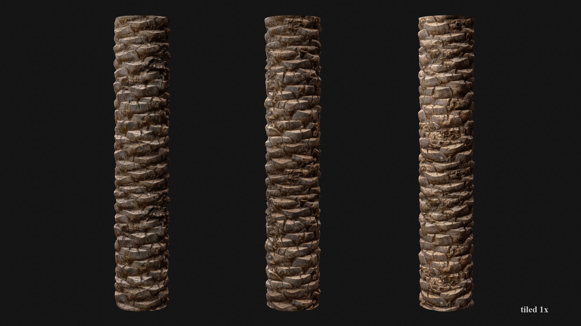 Date Palm PBR Tiled Texture 8K 3D Model - TurboSquid 2313256