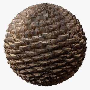 Date palm PBR tiled texture 8K 3D model