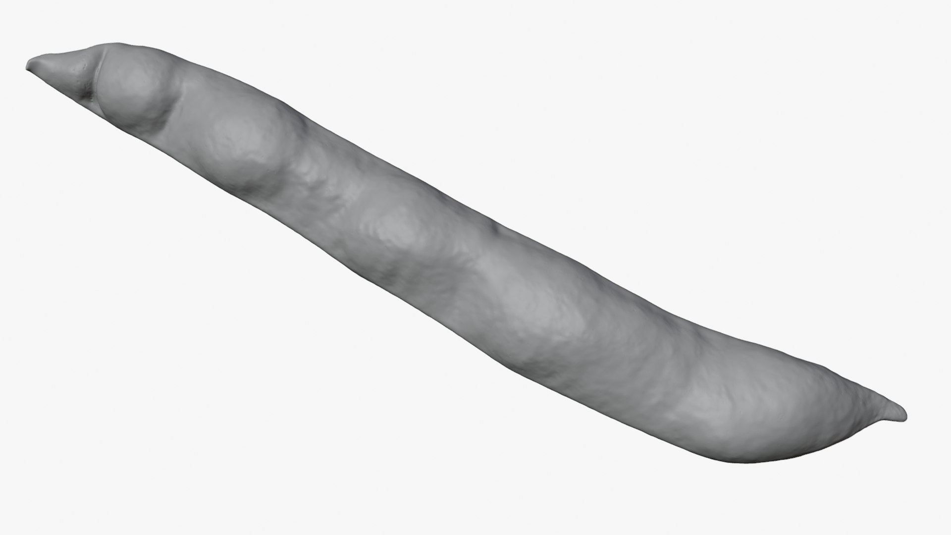3D Broad Bean Pod 01 - For 3D Print https://p.turbosquid.com/ts-thumb/iX/G3Zmeh/90/broadbean01_0005/png/1781513284/1920x1080/fit_q87/de5dce1f6ea0a96c2d062441924cf95b66fe2148/broadbean01_0005.jpg