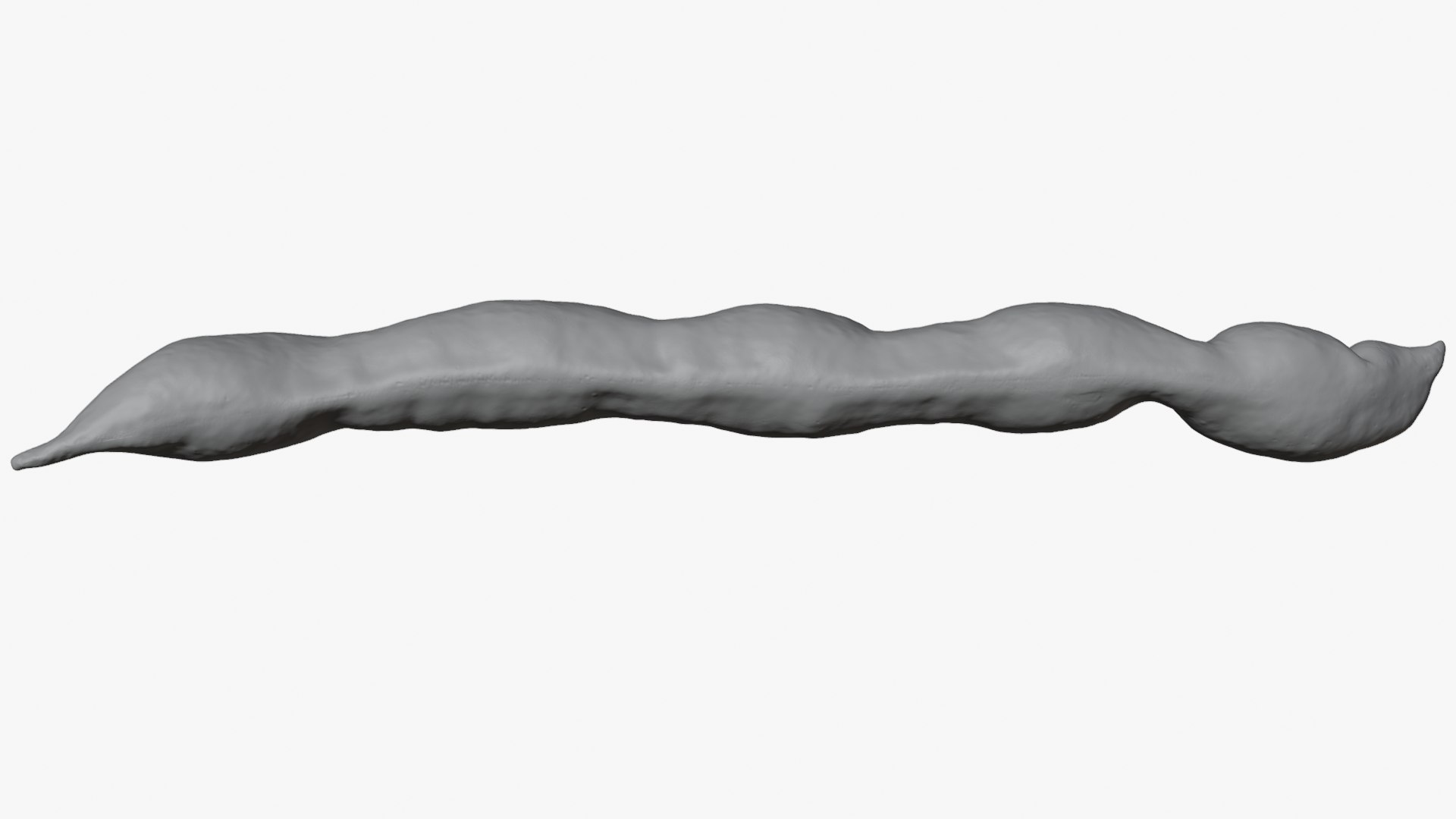 3D Broad Bean Pod 01 - For 3D Print https://p.turbosquid.com/ts-thumb/iX/G3Zmeh/BP/broadbean01_0008/png/1781513315/1920x1080/fit_q87/8f46fa4506b3f732c7ef42868f7f5300eda1230c/broadbean01_0008.jpg
