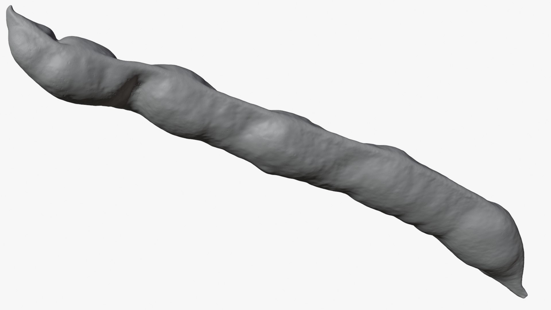 3D Broad Bean Pod 01 - For 3D Print https://p.turbosquid.com/ts-thumb/iX/G3Zmeh/K3/broadbean01_0010/png/1781513322/1920x1080/fit_q87/f71df58f589d73283f90d903299b5649f1429820/broadbean01_0010.jpg
