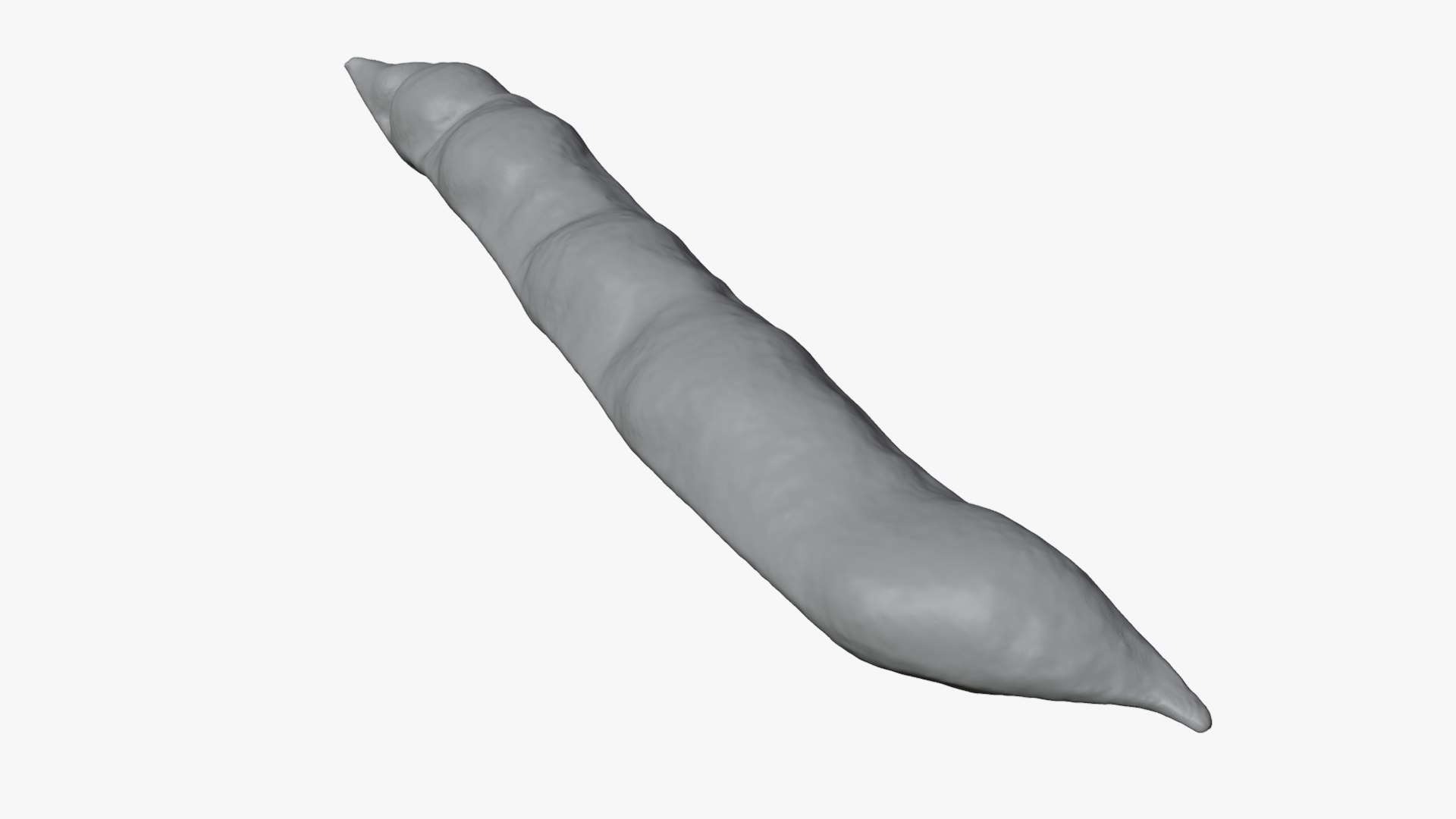 3D Broad Bean Pod 01 - For 3D Print https://p.turbosquid.com/ts-thumb/iX/G3Zmeh/eb/broadbean01_0003/png/1781513269/1920x1080/fit_q87/020b83d09c120544ad053870641160aec4835365/broadbean01_0003.jpg