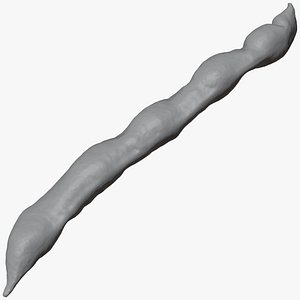 Broad Bean Pod 01 - For 3D Print