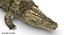 Crocodile Rigged