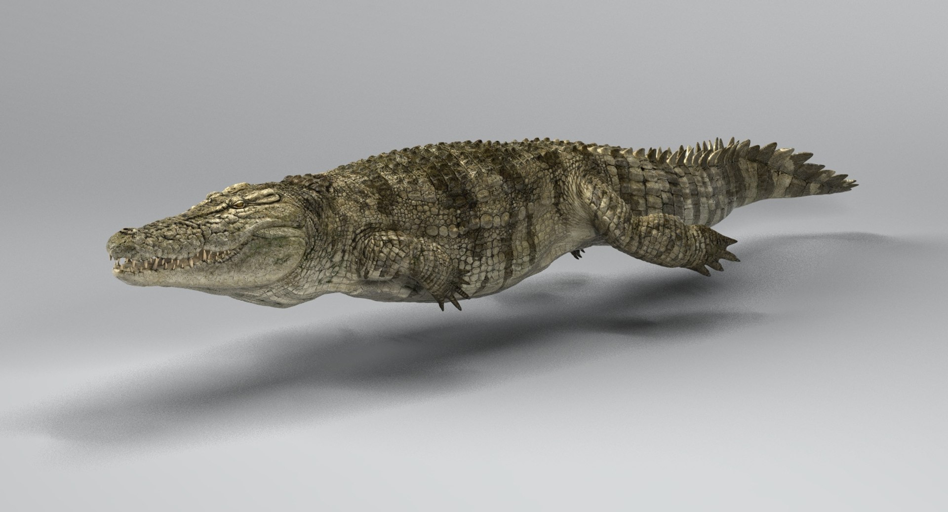 crocodile rigged 3D https://p.turbosquid.com/ts-thumb/iX/HPcGk0/VPWEe1IB/15/jpg/1493976041/1920x1080/fit_q87/537cb1ff9da3bc8239be0cf5756b1b534eefdb79/15.jpg