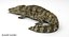 Crocodile Rigged