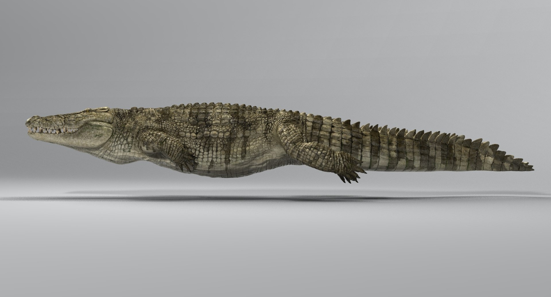 crocodile rigged 3D https://p.turbosquid.com/ts-thumb/iX/HPcGk0/aDwy6UZ5/17/jpg/1493976041/1920x1080/fit_q87/a24a825de4a27b68b43c1fdd5c0d8a0d740ec8f8/17.jpg