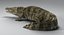 Crocodile Rigged