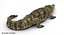 Crocodile Rigged