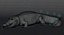 Crocodile Rigged