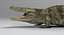 Crocodile Rigged